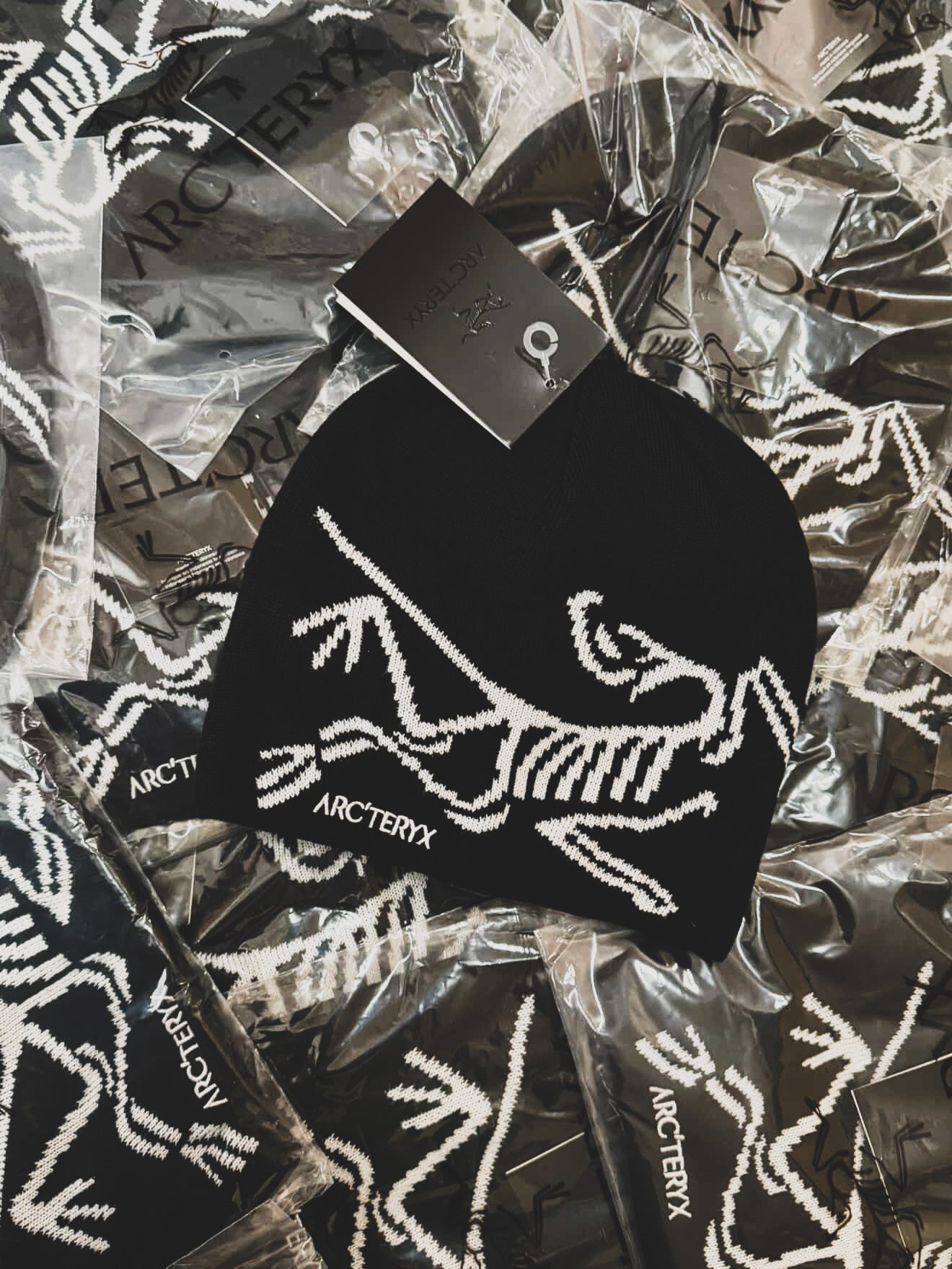 Arc'teryx Bird Head Toque 
