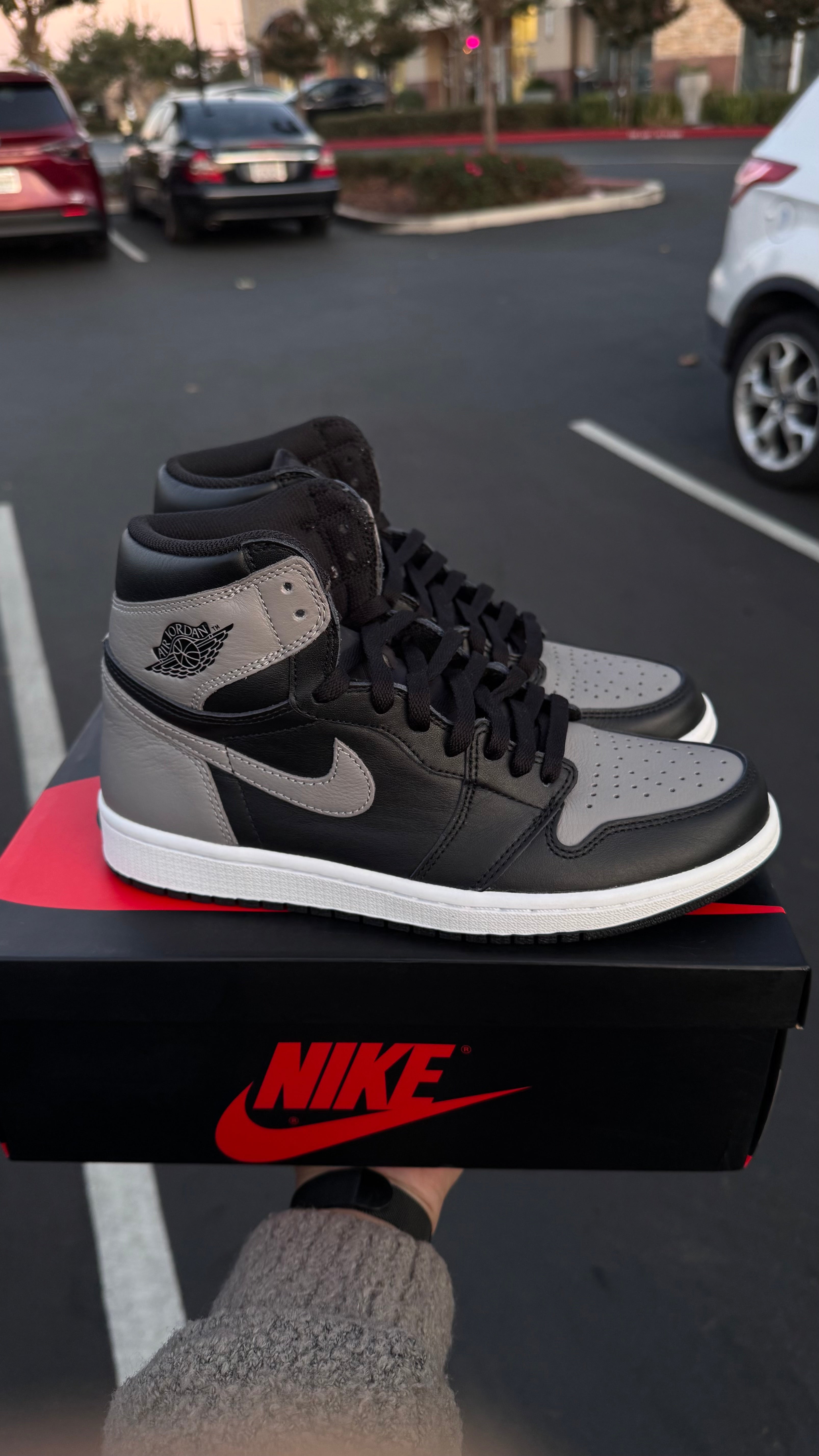Jordan 1 High "Shadow" (2018) | Preowned