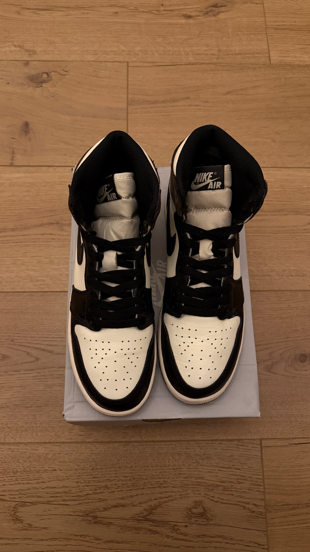 Jordan 1 High "Mocha" (GS) | PREOWNED REP BOX