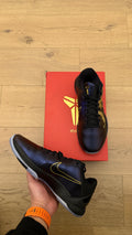 Kobe 5 Protro "Year of the Mamba Eggplant" | VNDS OG ALL